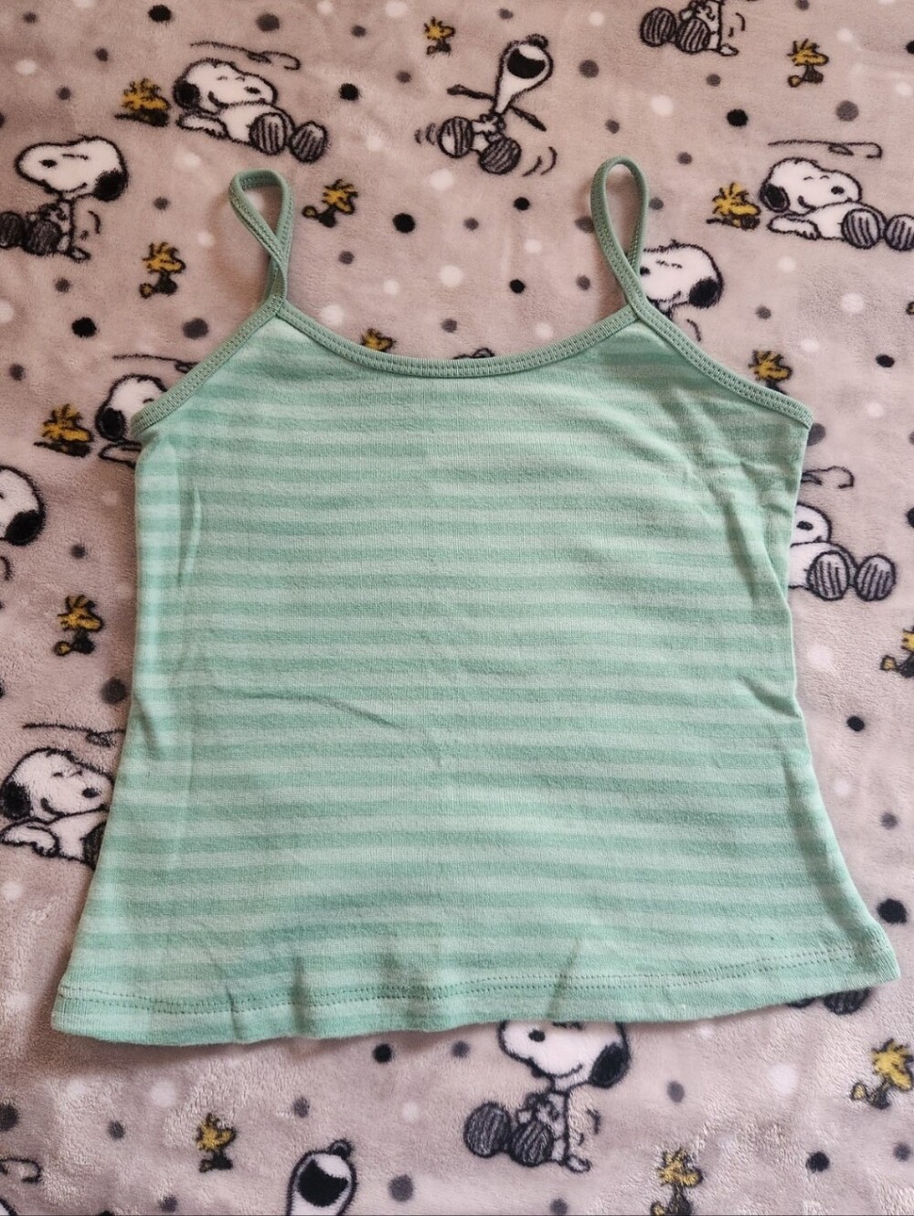 D00P Of Brandy Melville Striped Teal Cami